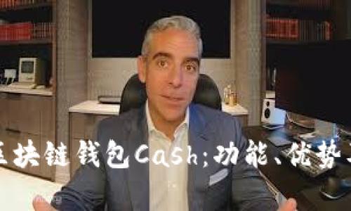 全面解析区块链钱包Cash:功能、优势及使用指南