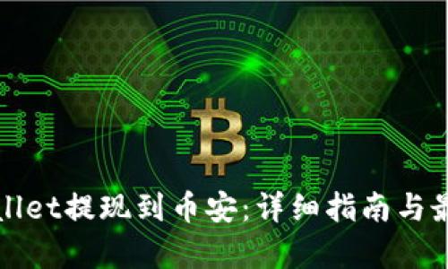 如何将tpWallet提现到币安：详细指南与最佳通道选择