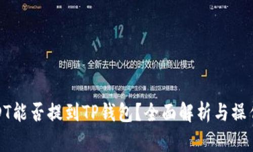 : USDT能否提到TP钱包?全面解析与操作指南