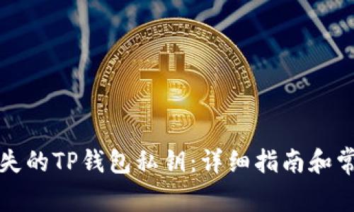 如何找回丢失的TP钱包私钥:详细指南和常见问题解答