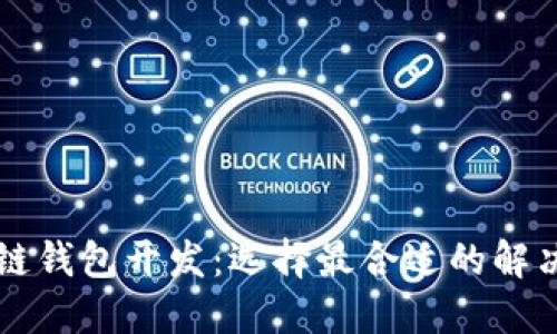 区块链钱包开发:选择最合适的解决方案