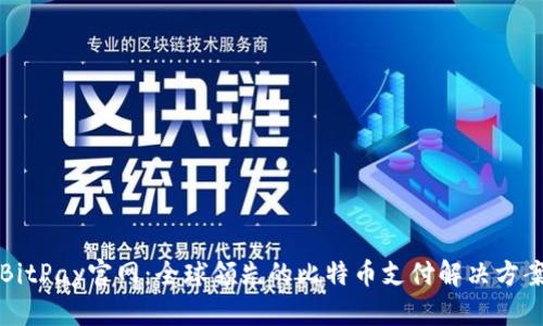 BitPay官网：全球领先的比特币支付解决方案