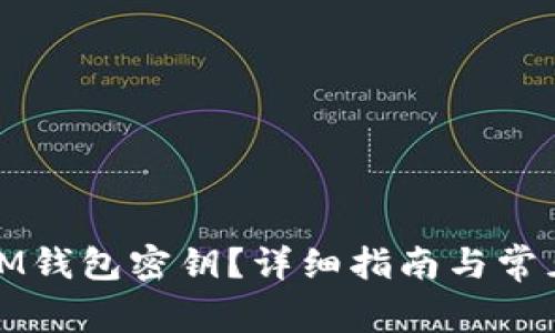 如何查看IM钱包密钥?详细指南与常见问题解答