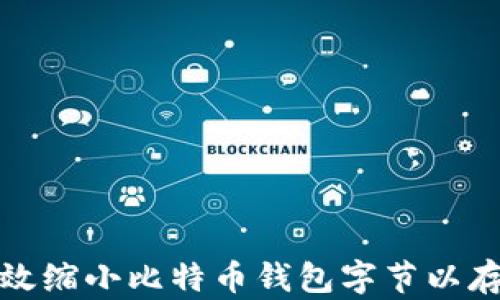 如何有效缩小比特币钱包字节以存储空间
