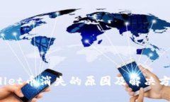  tpWallet币消失的原因及解