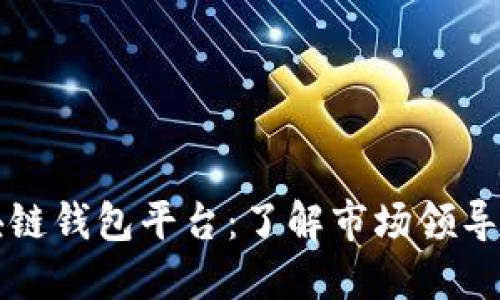全球最大的区块链钱包平台:了解市场领导者的优势与应用