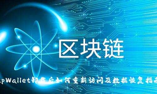 tpWallet卸载后如何重新访问及数据恢复指南