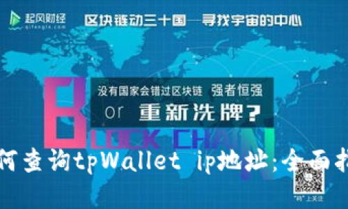 如何查询tpWallet ip地址:全面指南