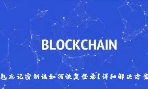 tp钱包忘记密钥该如何恢复登录?详细解决方案解析