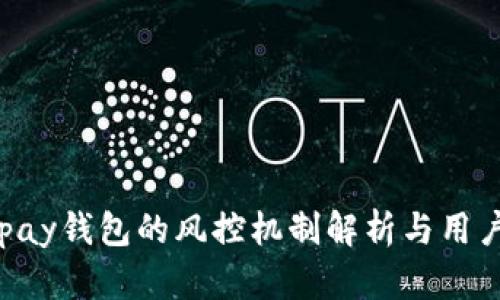 : Gopay钱包的风控机制解析与用户指南