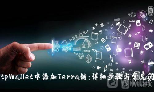如何在tpWallet中添加Terra链:详细步骤与常见问题解答