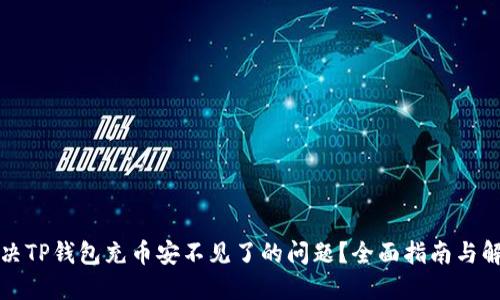 如何解决TP钱包充币安不见了的问题?全面指南与解决方案
