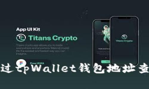 如何通过tpWallet钱包地址查询资产