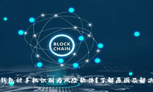 : TP钱包被手机识别为风险软件?了解原因及解决办法