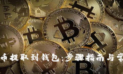 如何将比特币提取到钱包:步骤指南与常见问题解答
