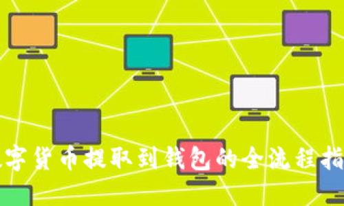 数字货币提取到钱包的全流程指南