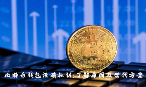 比特币钱包没有私钥:了解原因及替代方案