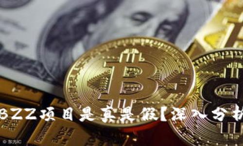 TP钱包中的BZZ项目是真是假?深入分析与用户指南