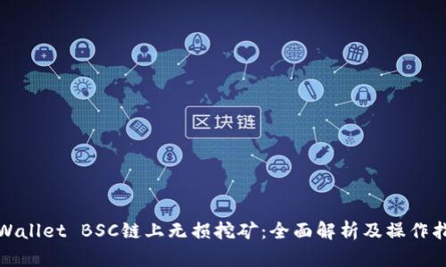 tpWallet BSC链上无损挖矿:全面解析及操作指南